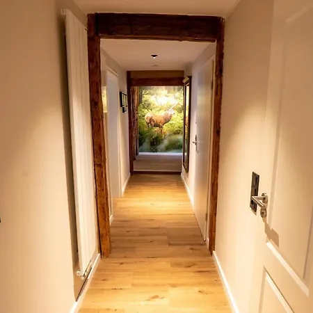 Ferienwohnung Rathausblick 1 Mit Infrarot-Kabine Blankenburg  Exterior foto