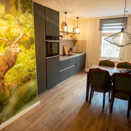 Ferienwohnung Rathausblick 1 Mit Infrarot-Kabine Blankenburg  Exterior foto
