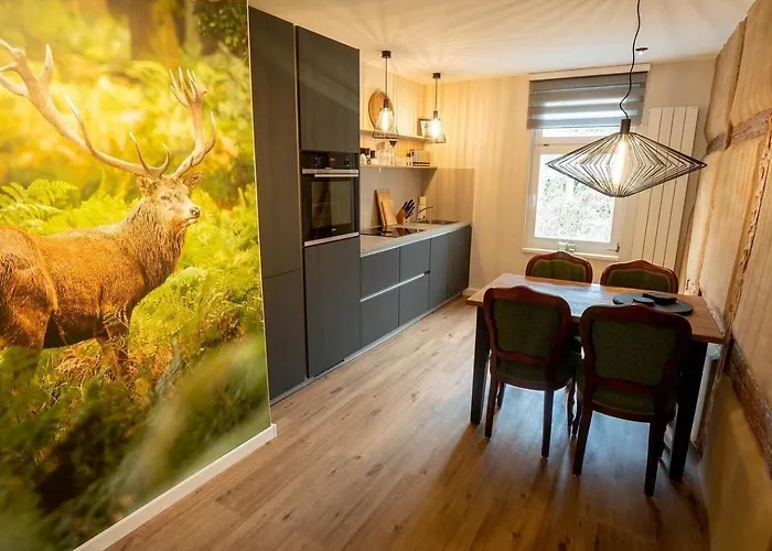 Ferienwohnung Rathausblick 1 Mit Infrarot-Kabine